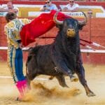 REPORTAJES 13 JAV 7300 EL TOREO CASTELLANO