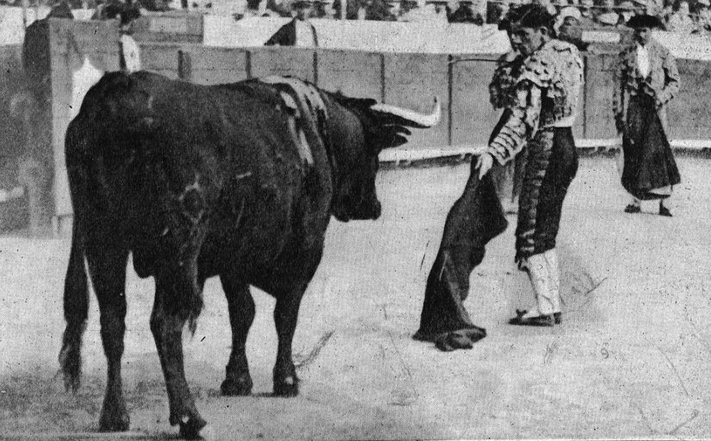 REPORTAJES 9 Imagen de un torero en acción en Castilla y León