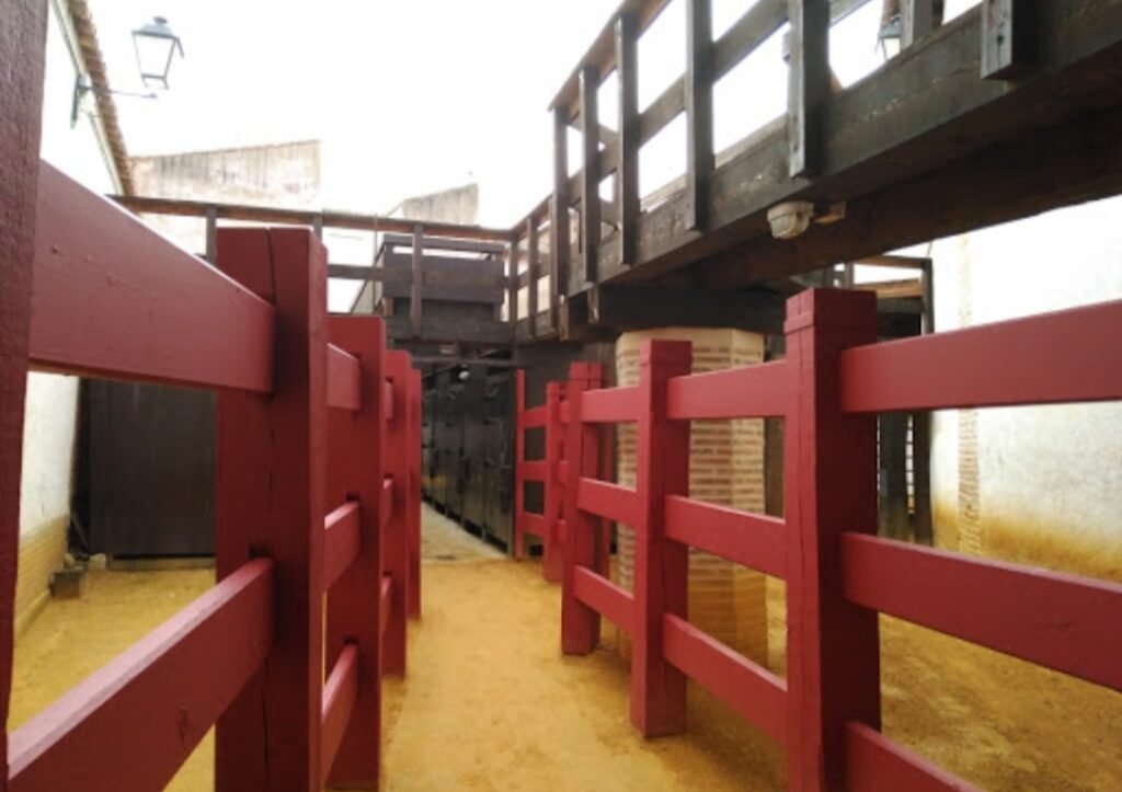 Plaza de toros de Toro: un aroma distinto 10 3 EL TOREO CASTELLANO