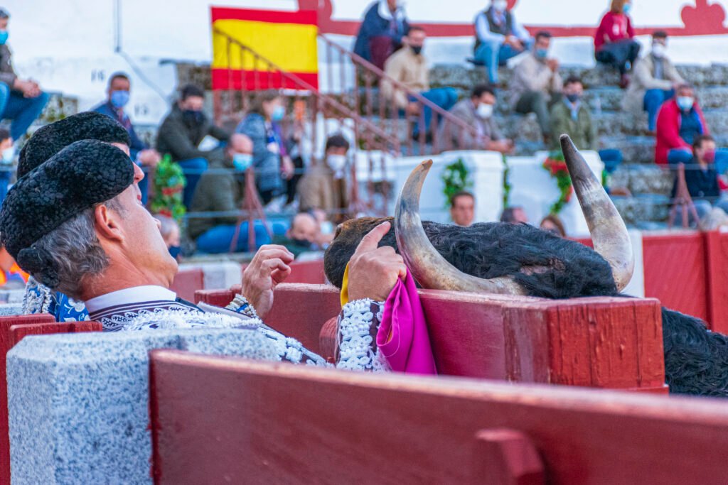 Guijuelo 2025: carteles de una feria que mira a la tierra sin perder la ambición 7 Carteles feria guijuelo 2025