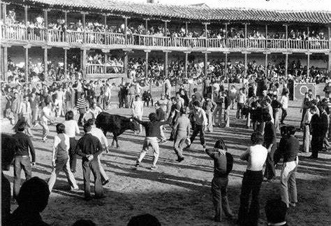 Plaza de toros de Toro: un aroma distinto 11 OIP 1 EL TOREO CASTELLANO