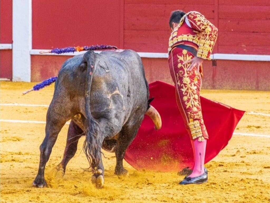 Javier Castaño a hombros en Estella y El Fandi triunfa en Íscar 7 Javier Castaño triunfa en Estella 2025 ante toros de Partido de Resina.