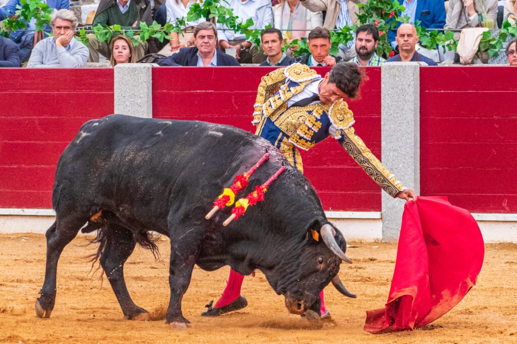 Termina una gran feria de Guijuelo y Bilbao se rinde a Damián Castaño 8 Guijuelo y Bilbao