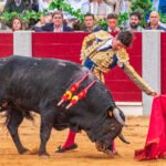 Guijuelo y Bilbao