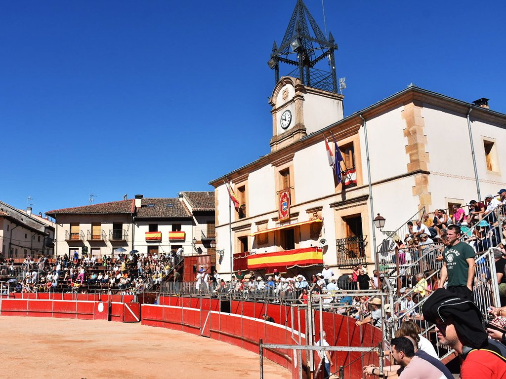 Cartel de la Feria Taurina de Riaza 2025