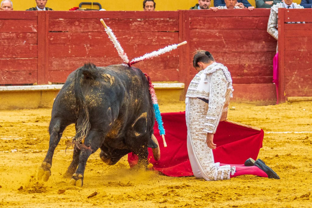 Carteles de El Espinar y Sotillo de la Adrada 2025