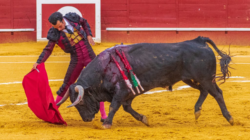 Azpeitia: Morenito de Aranda y Damián Castaño 