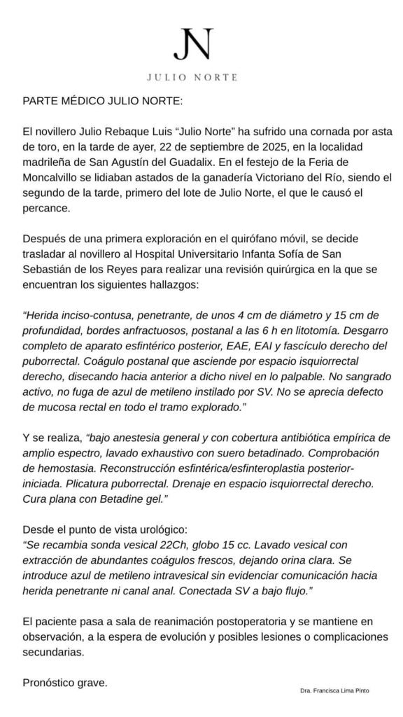 552706066 31555231700786697 4874046312117594017 n EL TOREO CASTELLANO