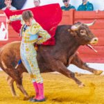 Julio Norte cornada en San Agustín del Guadalix, evolución estable en la UCI.