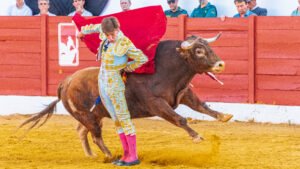 Julio Norte cornada en San Agustín del Guadalix, evolución estable en la UCI.