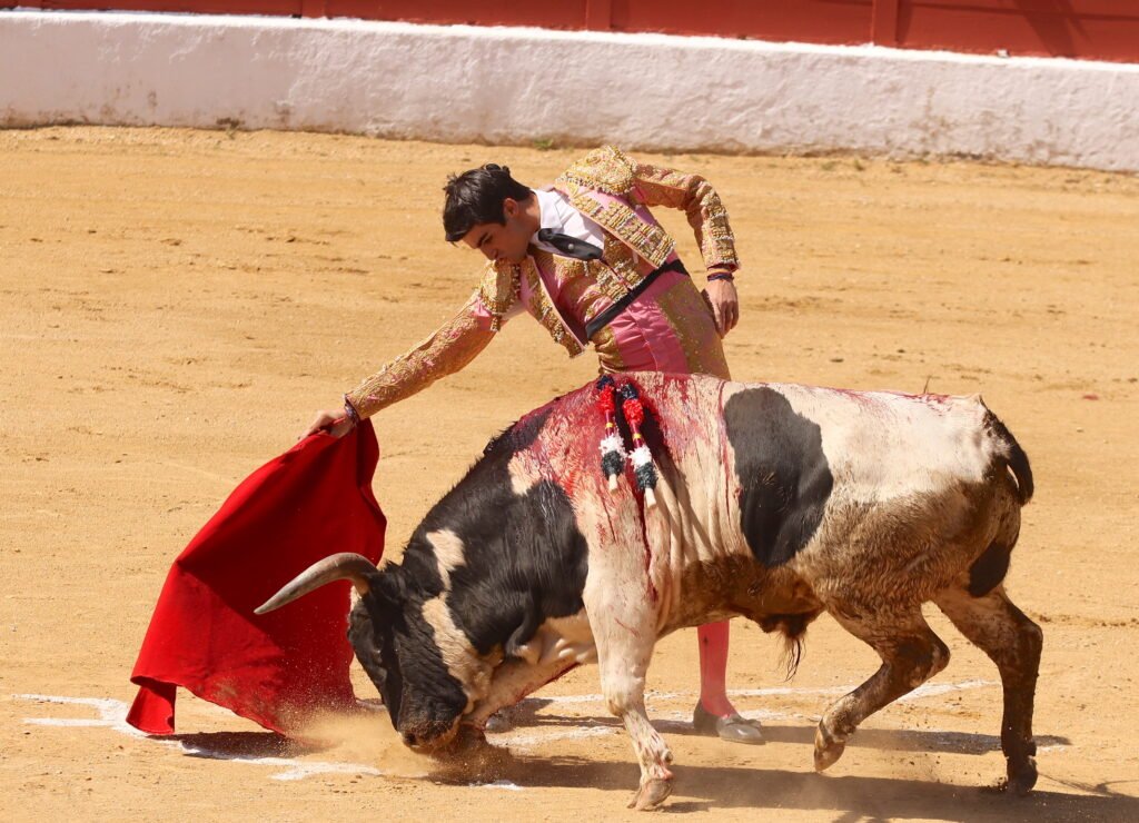 Carteles Feria del Aficionado 2026