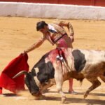 Carteles Feria del Aficionado 2026