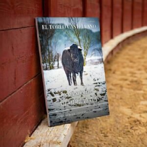 revista el toreo castellano valladolid memoria viva plaza de toros javier perez