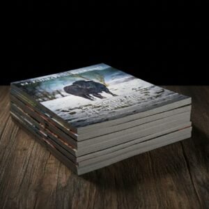 Pack Suscripción Anual 2026 Revista El Toreo Castellano. Colección completa de 11 números en papel con envío incluido.