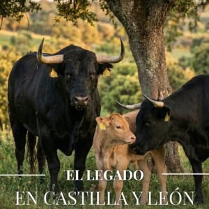 Portada de la revista el toreo castellano número 59 correspondiente al mes de marzo.