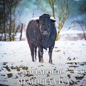 Portada de la revista taurina el toreo castellano febrero 2026 dedicada a Valladolid.