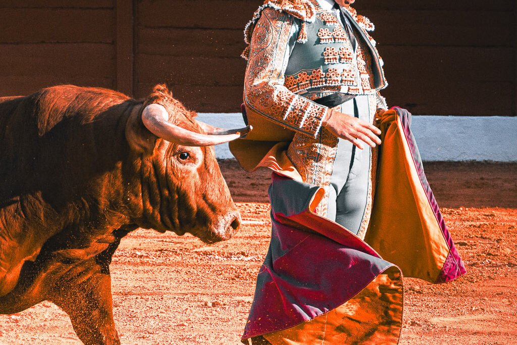 Fotografía de Javier Pérez titulada "A escasos centímetros" donde un toro colorado pasa rozando al torero.