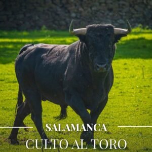 Portada de la revista El Toreo Castellano número 60, edición abril 2026, centrada en Salamanca y el culto al toro.