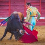 Alejandro Marcos en Valdilecha en un desplante dentro de la copa Chenel 2026