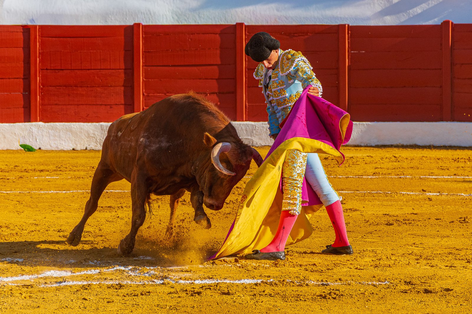Retrato del novillero salmantino Julio Norte a las puertas de su alternativa en Dax. Fotografía de Javier Pérez.