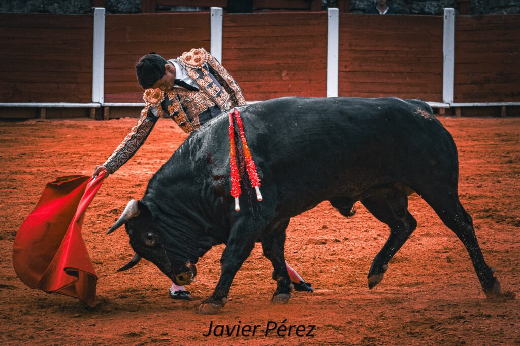Derechazo del matador salmantino Manuel Diosleguarde en la Copa Chenel 2026.