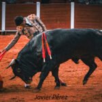 Derechazo del matador salmantino Manuel Diosleguarde en la Copa Chenel 2026.