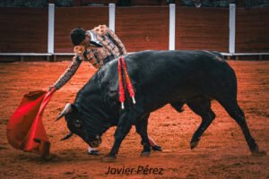 La espada se llevó el triunfo pero no las buenas sensaciones de Manuel Diosleguarde en la Copa Chenel 1 Derechazo del matador salmantino Manuel Diosleguarde en la Copa Chenel 2026.
