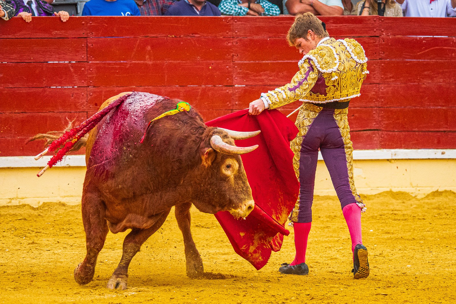 Fotografía de Javier Pérez del matador Borja Jiménez ejecutando un natural durante una corrida de toros.