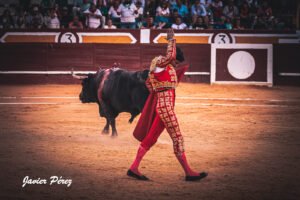 Manuel Diosleguarde debutará en Pamplona
