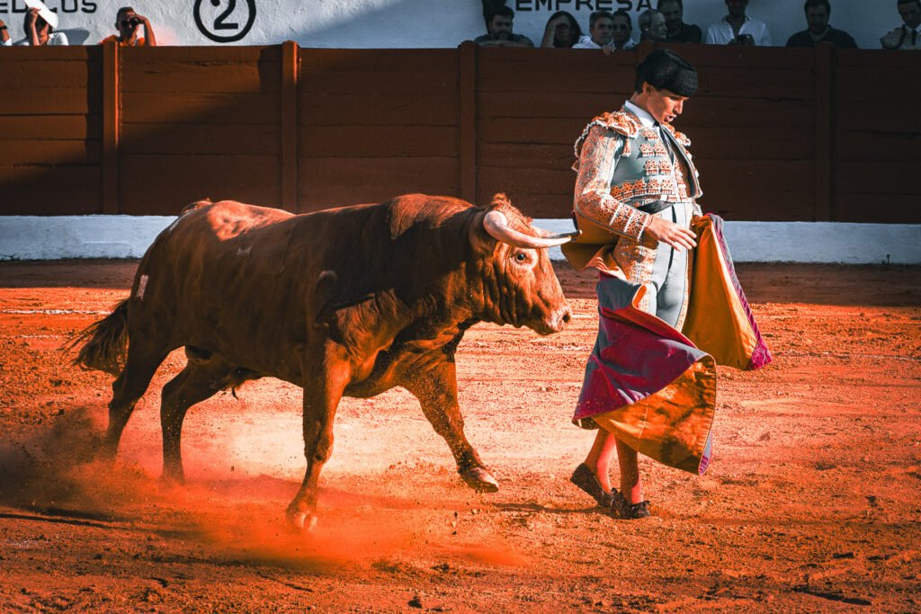 Repaso al gran fin de semana de Manuel Diosleguarde en Valladolid y Madrid, junto a las salidas a hombros de Marco Pérez en Inca y Julio Norte en Córdoba.Fotografía: Javier Pérez.