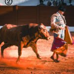 Repaso al gran fin de semana de Manuel Diosleguarde en Valladolid y Madrid, junto a las salidas a hombros de Marco Pérez en Inca y Julio Norte en Córdoba.Fotografía: Javier Pérez.