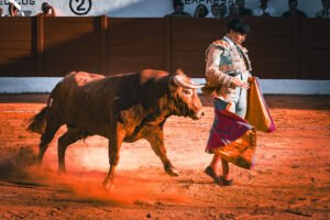 Repaso al gran fin de semana de Manuel Diosleguarde en Valladolid y Madrid, junto a las salidas a hombros de Marco Pérez en Inca y Julio Norte en Córdoba.Fotografía: Javier Pérez.