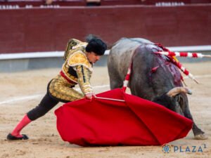 Actuación de Damián Castaño y Gómez del Pilar en Las Ventas
