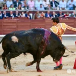 Ismael Martín toreando de rodillas en Las Ventas