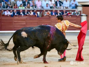 Ismael Martín toreando de rodillas en Las Ventas