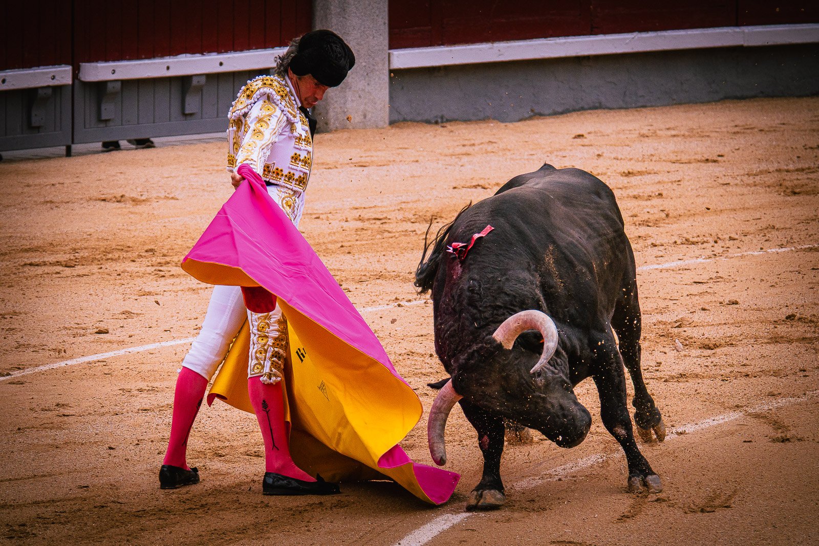 revista digital taurina 8 El matador Rubén Sanz toreando con el capote durante la tarde de su confirmación en Las Ventas. Fotografía de Javier Pérez.