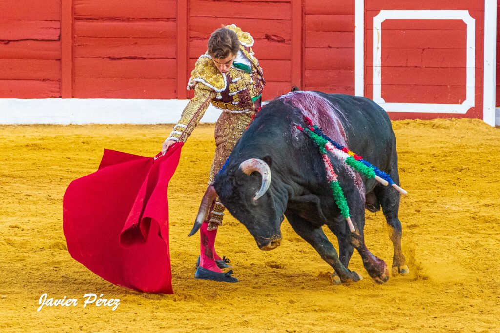 Salvador Herrero toreando de muleta, convertido en el segundo semifinalista del circuito. Fotografía de Javier Pérez.