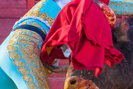 Matador de toros ejecutando la suerte suprema sobre el morrillo del astado. Fotografía de Javier Pérez