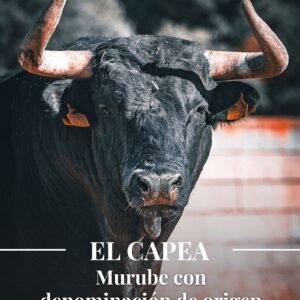 Portada de la revista El Toreo Castellano del mes de julio de 2026 con un toro negro.