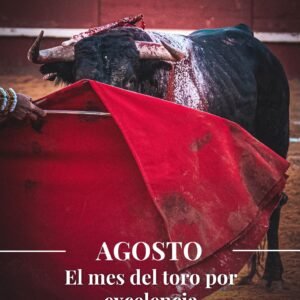 Portada de El Toreo Castellano agosto 2026 con un toro bravo frente a una muleta