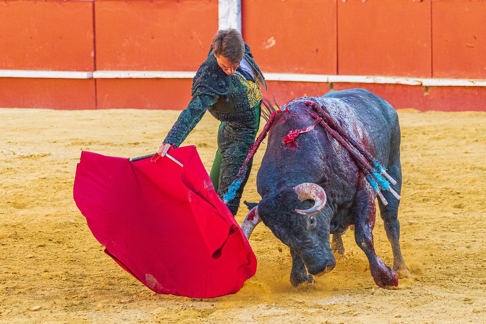 Pablo Atienza toreando con la muleta a un toro de Partido de Resina en Cuéllar. Fotografía: Javier Pérez.