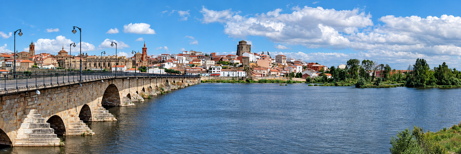 Vista panorámica de Alba de Tormes y el puente sobre el río Tormes