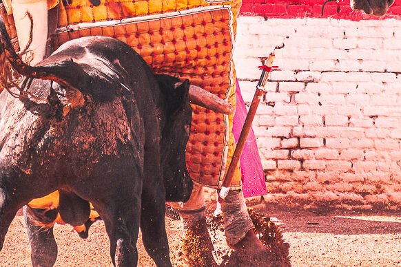 Toro empujando al caballo del picador mientras la vara se rompe durante la suerte de varas. Fotografía: Javier Pérez.