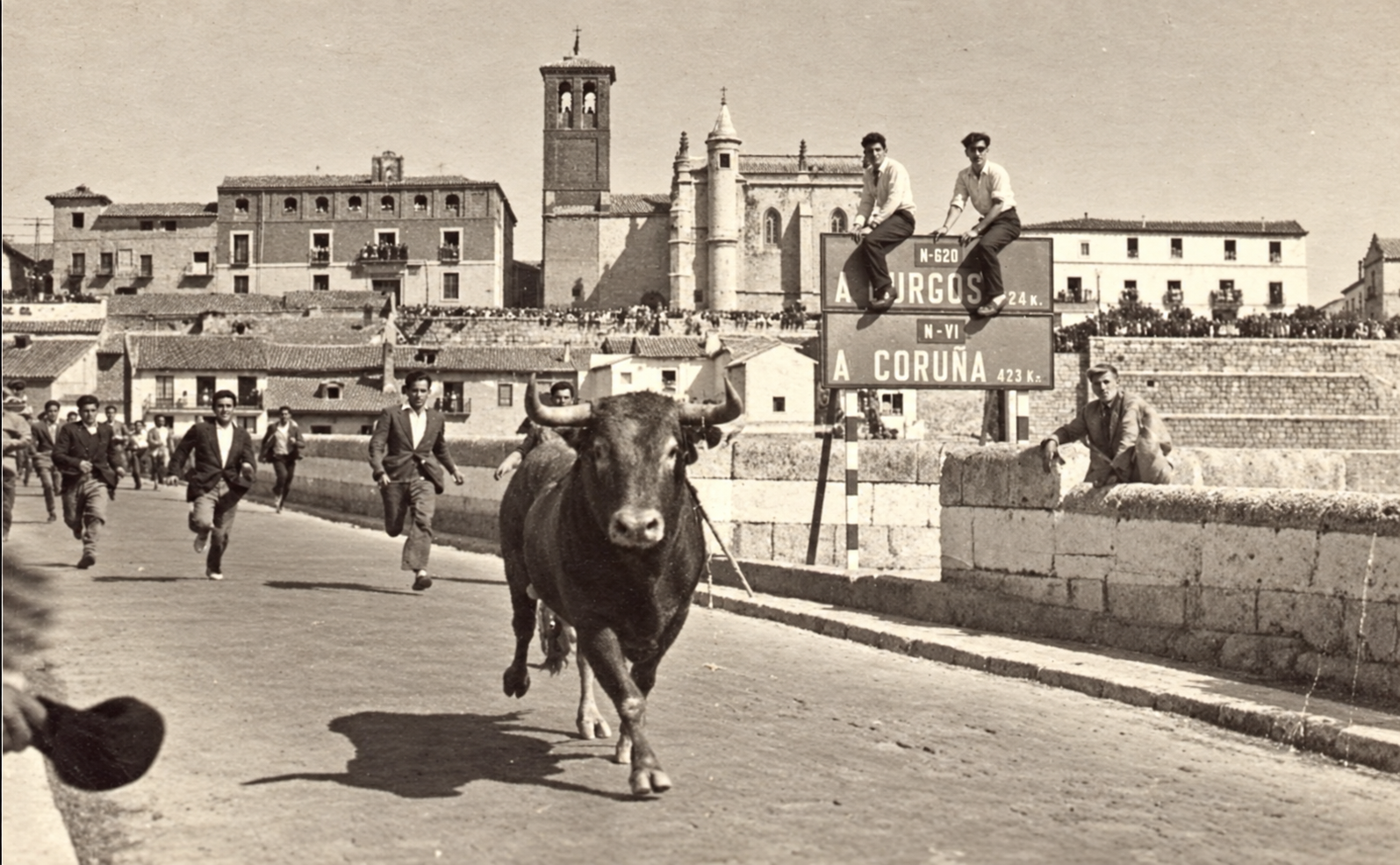 Toro de la Vega recorriendo el puente de Tordesillas